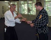 aikido and hapkido cross training